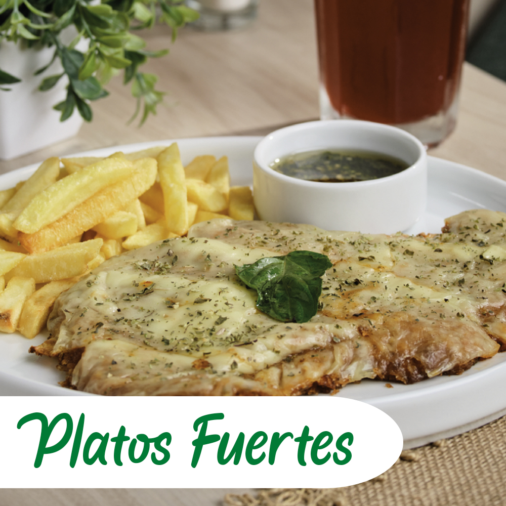 Platos Fuertes9